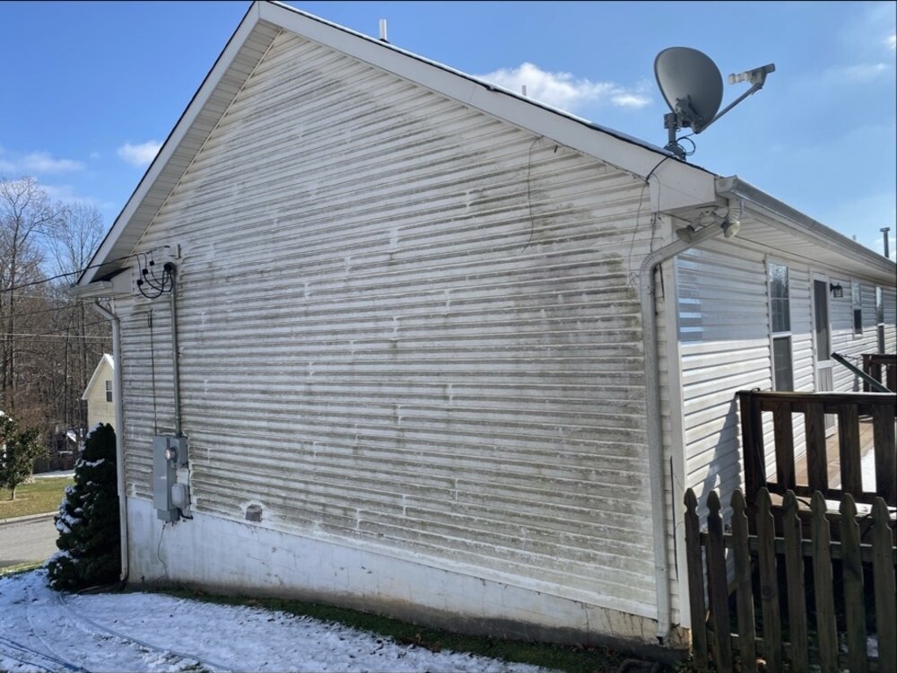 Vinyl siding covered in green and black algae streaks before house washing
